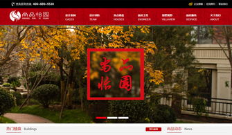 廊坊企業(yè)數(shù)字化轉(zhuǎn)型的堅(jiān)實(shí)伙伴 迅騰網(wǎng)絡(luò)網(wǎng)站建設(shè)經(jīng)典案例解析